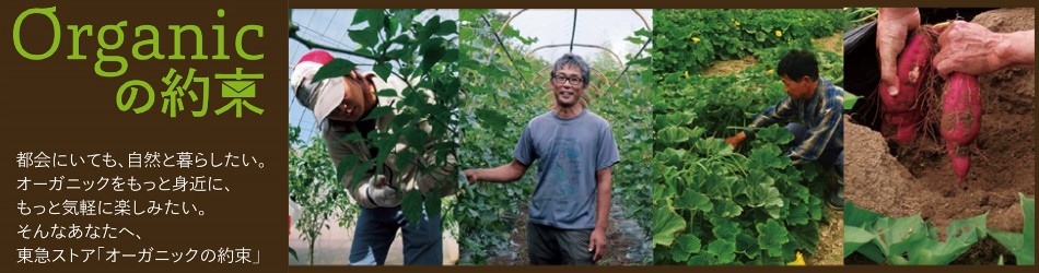 手紙のついた野菜と果物・「Organicの約束」