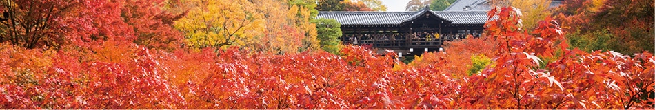 東北フェア