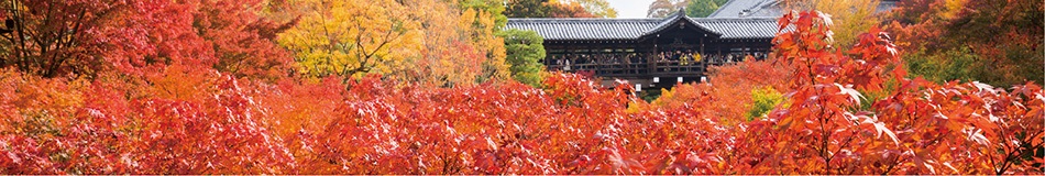 バイヤーの美味しい物語