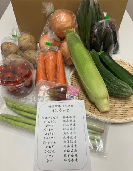 ◎【9/20～22お届けお届け分限り】横浜市場旬の野菜セット1箱（8～12品目）