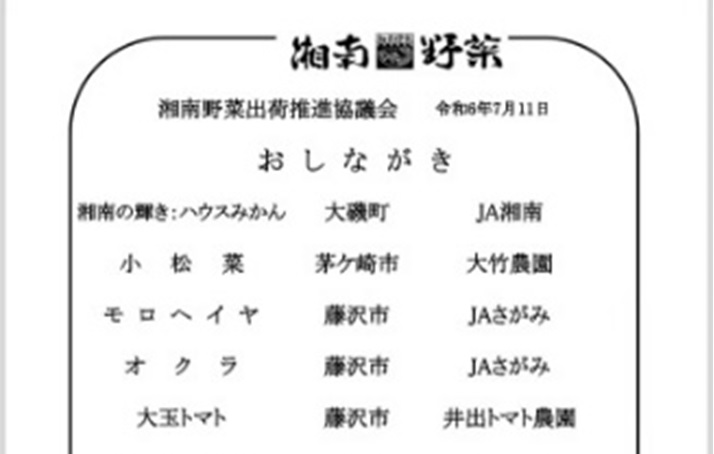 ◎【9/13お届け分限り】神奈川県産湘南野菜セット1箱（8～12品目）