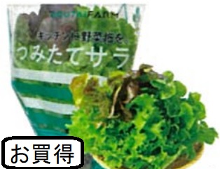 【6/2～5お届け分限り】3種のつみたてサラダ 1袋