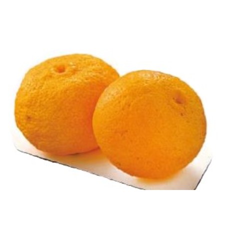 【12/19～22お届け分限り】木頭ゆず 1パック(2コ)