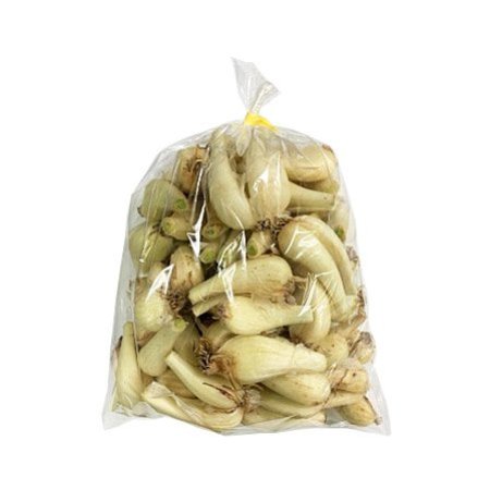 砂丘らっきょう 1袋(1kg)