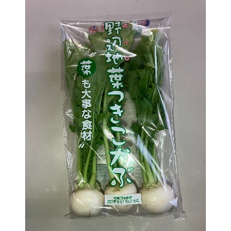 【6/6～8お届け分限り】野辺地かぶ 1パック