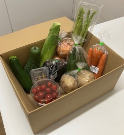 ◎【9/20～22お届けお届け分限り】横浜市場旬の野菜セット1箱（8～12品目）