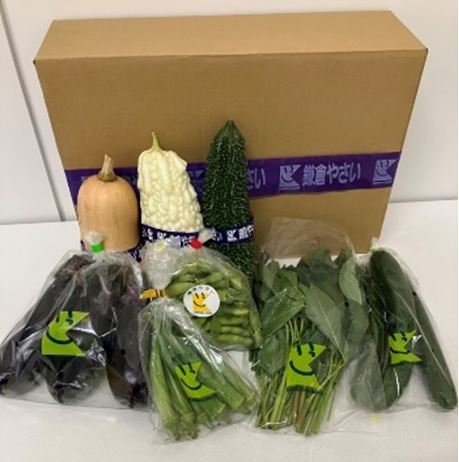 ◎【9/21お届け分限り】鎌倉野菜セット　1箱（8～10品目）