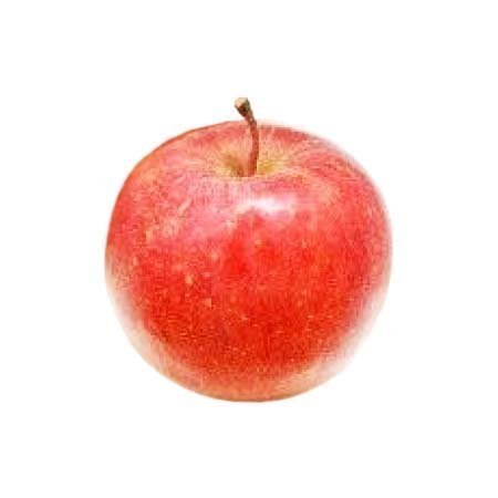ふじ 1コ