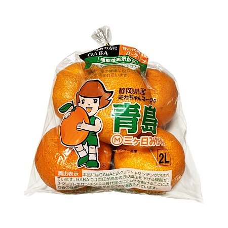 三ヶ日みかん 1袋(2Lサイズ５コ）