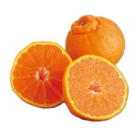 デコポン 1パック(2コ)