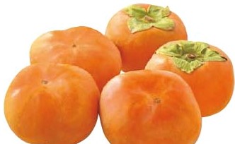 【11/21～24お届け分限り】次郎柿 1袋(4～5コ)