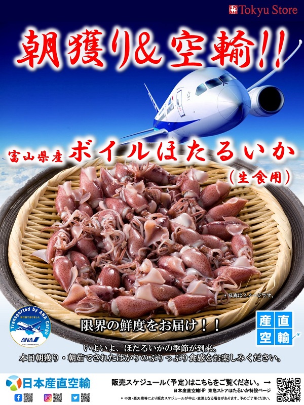 ◎【5/17お届け分限り】【便限定】朝獲りボイルほたるいか（生食用）500g