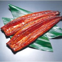 【7/11～13お届け分限り】＜限定＞宮崎県産うなぎ長蒲焼（大）　1尾