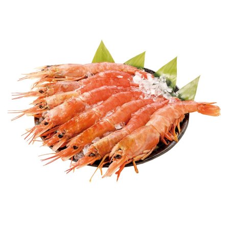【12/30～31お届け分限り】刺身用赤えび(解凍) 大 6尾