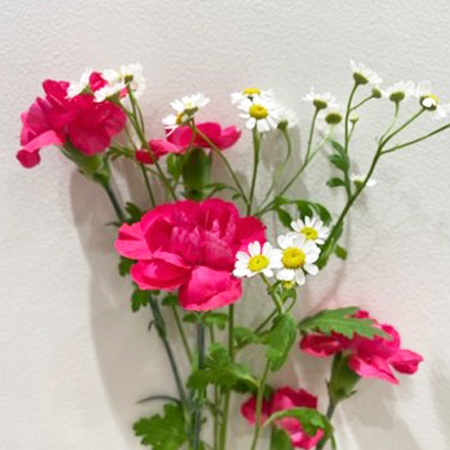 【5/1～31お届け分限り】スプレーカーネーションの花束 1束(2本入：スプレーカーネーション1本、小花1本)