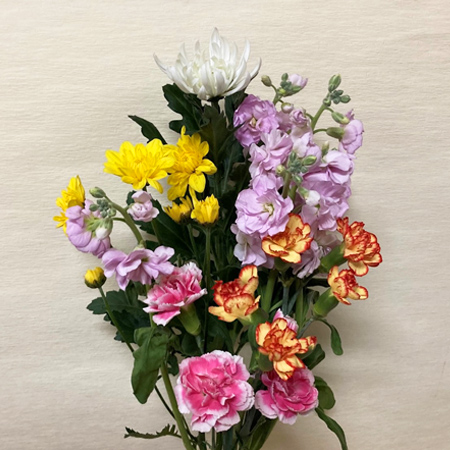 【便限定】和花(980) 1束(5～6本入)菊、小花等