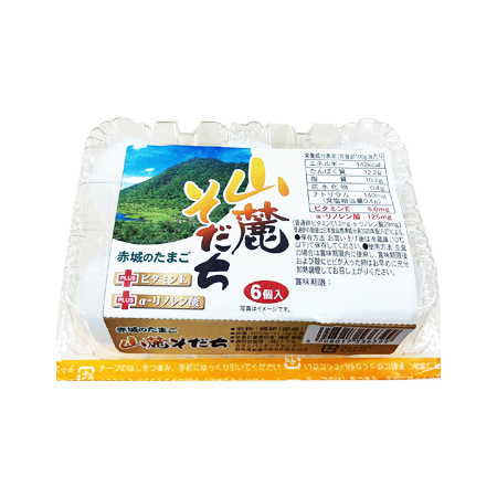 赤城のたまご 山麓そだち  6個入