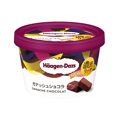 ハーゲンダッツ ミニカップ ガナッシュショコラ  110ml