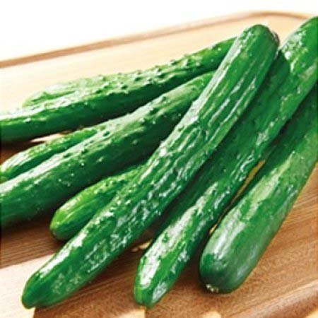 【11/1お届け分限り】きゅうり 1本