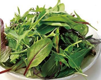 【12/9～10お届け分限り】「手紙のついた野菜」ベビーリーフ 1パック