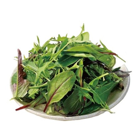 【12/19～21お届け分限り】Vマーク ベビーリーフミックス 1パック