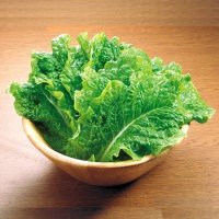 サンチュ 1パック