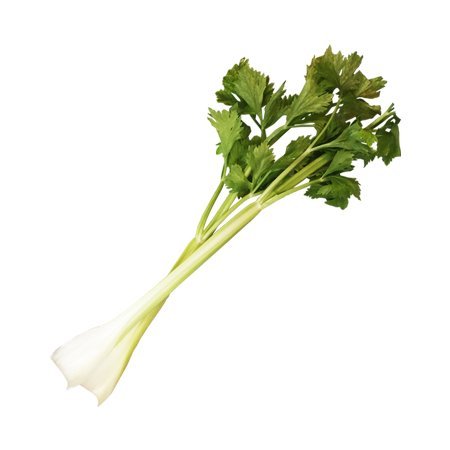 国内産セロリ 1本