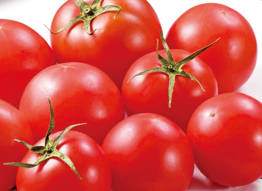 【3/6～8お届け分限り】「手紙のついた野菜」大雲仙フルーツトマト 1袋