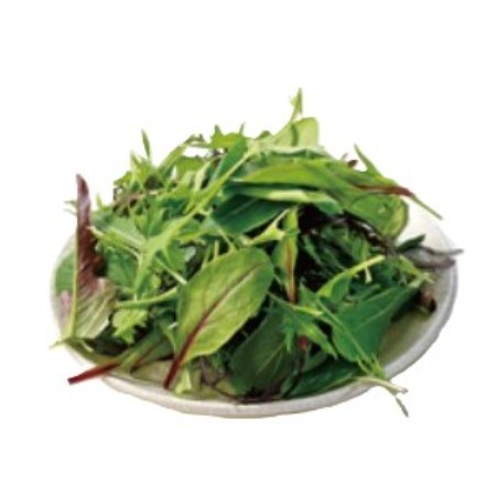 【4/21～22お届け分限り】「手紙のついた野菜」　ベビーリーフ 1パック(45ｇ)