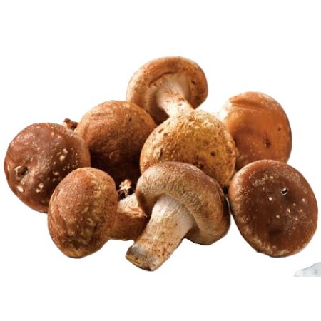 【12/28～31お届け分限り】生しいたけ(菌床栽培) 大1パック(150g)