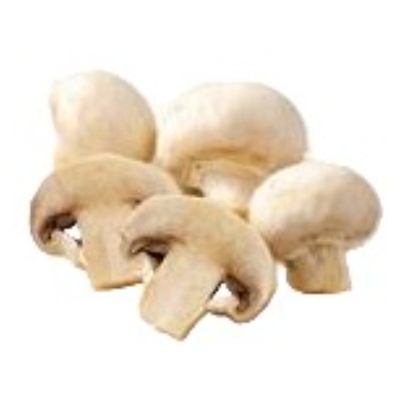 【11/4~5お届け分限り】マッシュルーム(ホワイト) 1パック