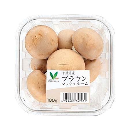 Ｖマーク ブラウンマッシュルーム 1パック