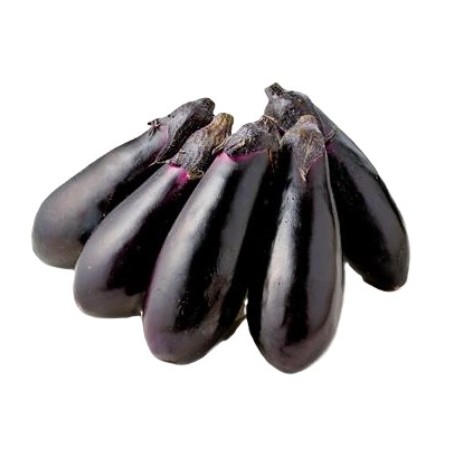 【11/2お届け分限り】なす 1袋(5本)