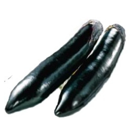 【11/4~5お届け分限り】長なす 1本