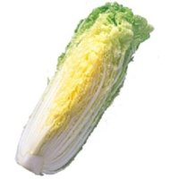 【1/4～5お届け分限り】「手紙のついた野菜」霜降り白菜 1/4切