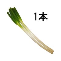 長ねぎ 1本