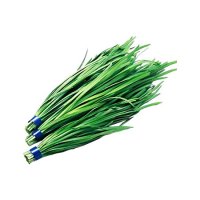 【11/4~5お届け分限り】にら 1袋