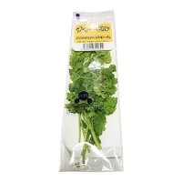 チャービル 1パック