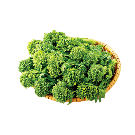 【1/26~28お届け分限り】菜の花 1パック