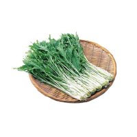 野菜/葉物野菜/ほうれん草・小松菜・水菜(並び順：おすすめ順