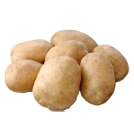 【10/29~30お届け分限り】「手紙のついた野菜」煮くずれしにくいじゃがいも(スノーマーチ) 1袋