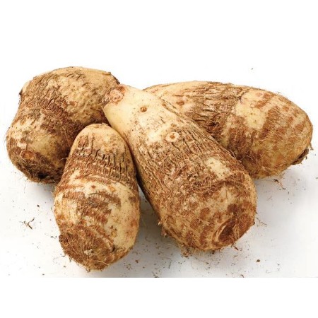 【12/25～27お届け分限り】素洗い里いも 1袋