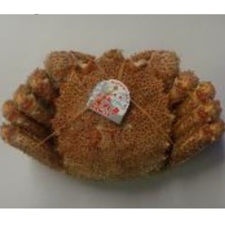 ◎【12/25~28お届け分限り】北海道産ボイル毛ガニ 400g