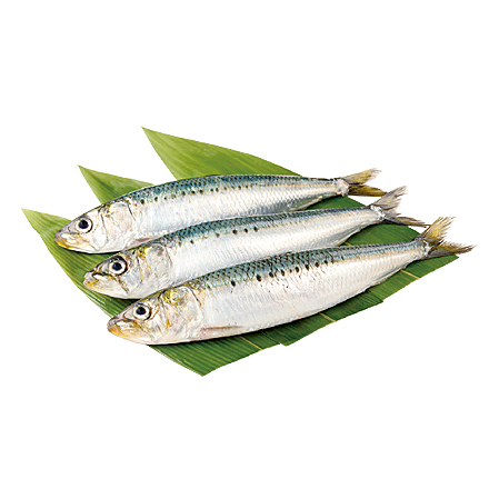 いわし 3尾