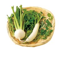 【1/4～7お届け分限り】春の七草セット 1パック