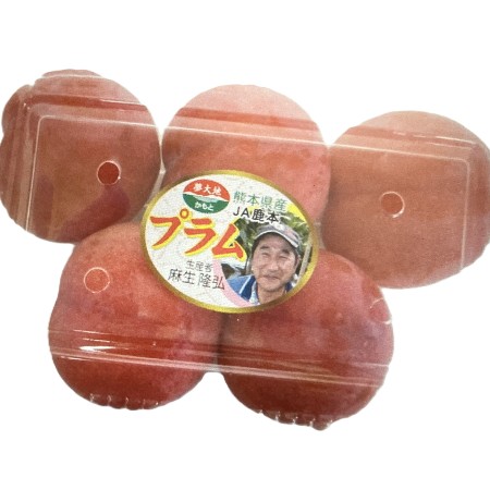 大石プラム 1パック