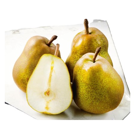 【11/10~13お届け分限り】ラ・フランス 1コ