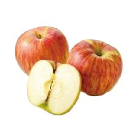 【9/3お届け分限り】サンつがる 1コ