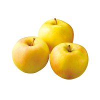 【10/24~26お届け分限り】トキ 1コ