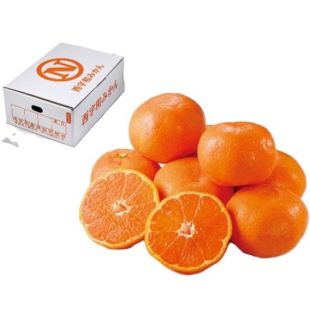 【12/25～27お届け分限り】西宇和みかん 1箱(2Lサイズ 2.8kg)